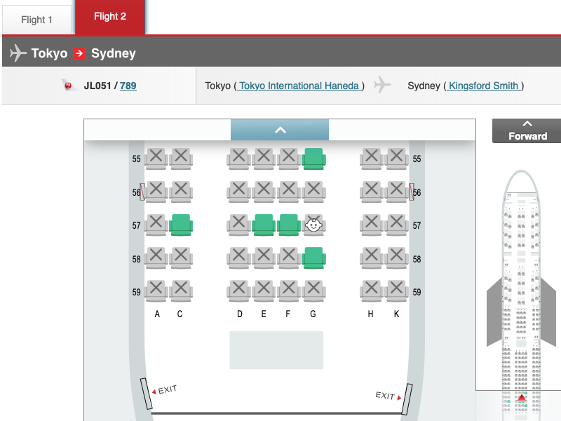 Infants are shown when selecting a seat on the Japan Airlines website