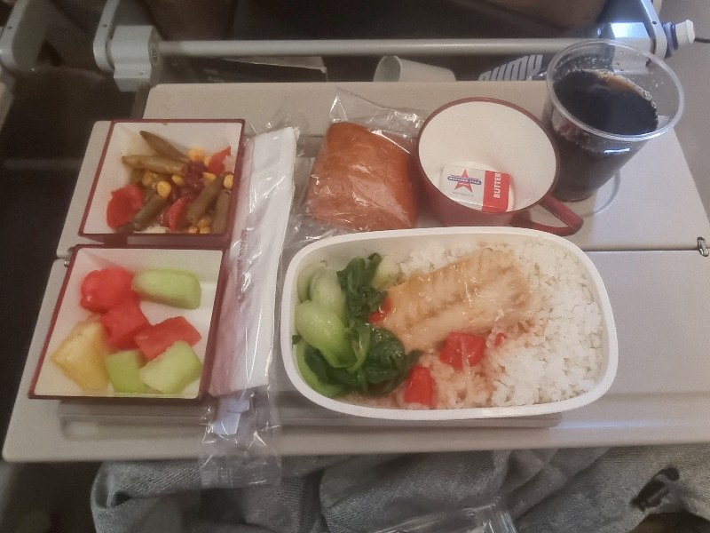 Asiana A380 Economy fish meal
