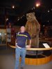 P1020679 Univertity Museum Big Brown Bear.jpg
