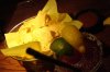 dsc02335.jpg