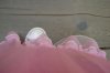 dsc02764.jpg