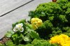 dsc06894.jpg