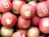 appleonapple_08.jpg