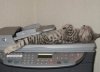 imagescat-scan.jpg