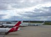 ImageUploadedByAust Freq Fly1308939636.069813.jpg