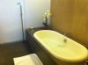 ImageUploadedByAust Freq Fly1309175347.245781.jpg