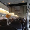 qf974.jpg