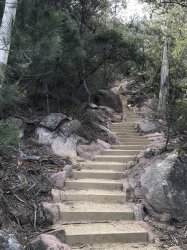 Steps 1.jpg