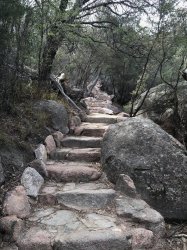 Steps 2.jpg