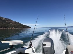 Fishing 2.jpg