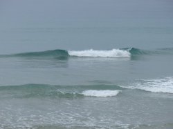 60E9B254-E4AF-4125-B921-1772679E86C2.jpeg