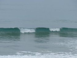 C8C58E58-CB58-4C75-BAAD-5CA19713CE95.jpeg