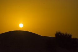 sunset_dxb_desert_n7k2_18884.jpg