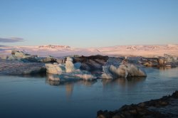 IMG_1198.JPG
