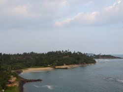 IMG_2505.JPG