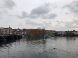 77B85420-36BF-43E7-A11A-5DC4ED75CD3E.jpeg