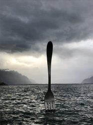 918E27B8-C32F-4FA2-AAD8-6B937A73A276.jpeg