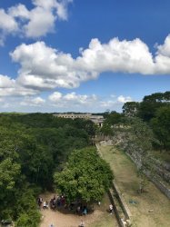 6F51775B-CD65-442C-BC90-FFEA41E60244.jpeg