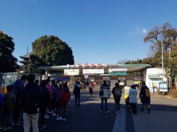 Zoo1.jpg