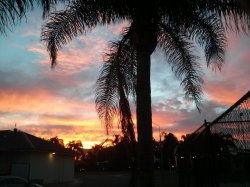 IMG_20180201_204856.jpg
