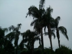IMG_20180130_174547.jpg