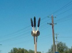 IMG_20180205_121016.jpg