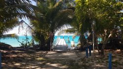 20180201_083308.jpg