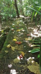 20180129_105425.jpg