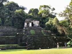 DB059633-4484-471E-881C-04461ED3355E.jpeg
