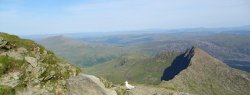 DSC06951.JPG