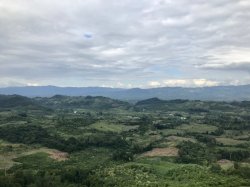 7C6B9C2A-15ED-4567-A14D-8F049D9B25F7.jpeg