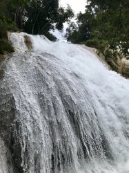 1513DF75-0609-4755-B8DB-FBC4F53784D9.jpeg