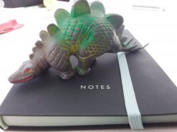 20180303_141031.jpg