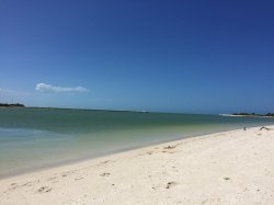 2018-02-22 12.52.15.jpg
