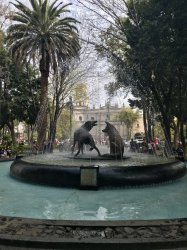 86AAD25D-CA22-479E-BE99-0DE05583B597.jpeg