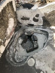 C0BF0603-F053-4F7E-AD1C-9B0A2F8398F9.jpeg