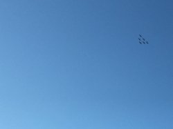 IMG_1378.JPG