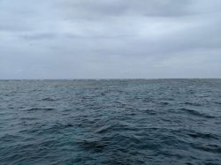 IMG_20180323_112315-01.jpeg