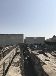 36608FBF-B4D6-408E-AD73-7CA552376446.jpeg