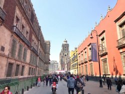 5750A822-0AF9-475B-A911-98EC40E10560.jpeg