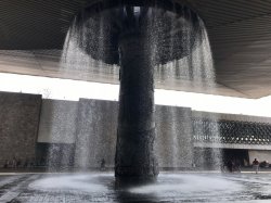 E0612BFA-C0B0-4197-84F3-BE16D2C0CD8C.jpeg