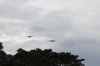 Over Trees.jpg
