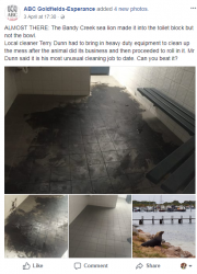 Bandy Creek.PNG