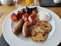 20180416_083950.jpg