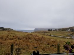 20180416_082935.jpg