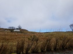 20180416_110934.jpg