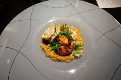 DSC02984-medium.JPG