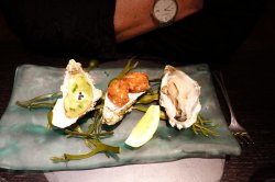 DSC02988-medium.JPG