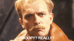 flash.png