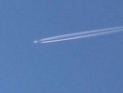 IMAG0804~2.jpg
